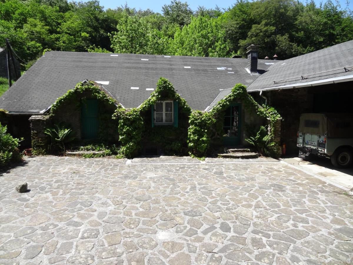 Bed and Breakfast Le Ginestous à Le Soulié Extérieur photo
